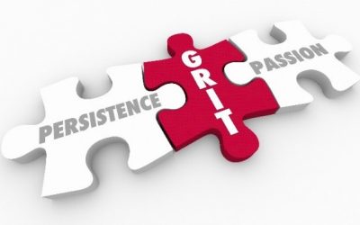 Grit = Passion + Persistence