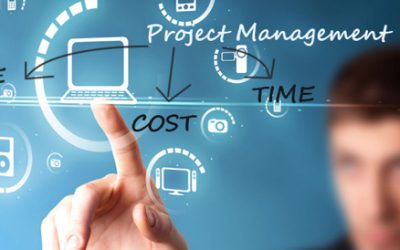 The Discipline of Project Management